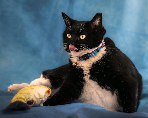 What Are the Potential Growth Opportunities for Small Businesses in the UK?